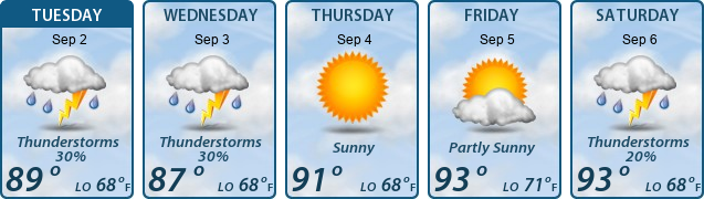5-Day Forecast