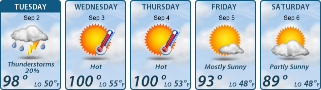 5-Day Forecast
