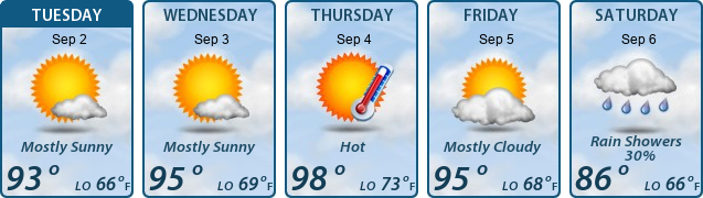 5-Day Forecast