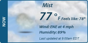 Current Conditions